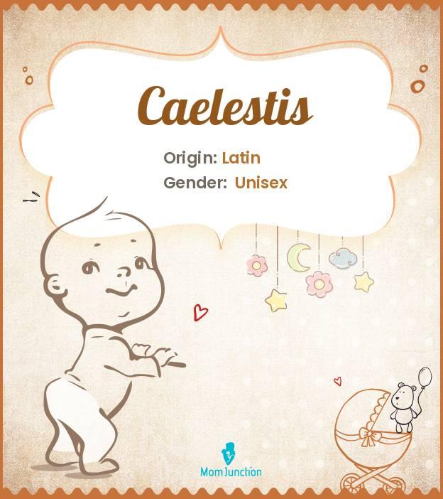 Caelestis: Meaning, Origin, Popularity_image