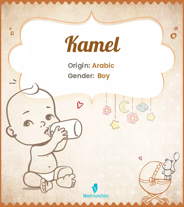kamel_image