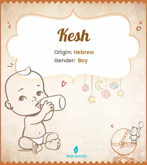 kesh_image