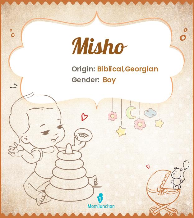 Explore Misho: Meaning, Origin & Popularity_image