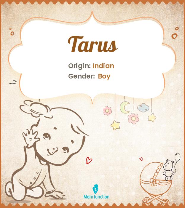 tarus